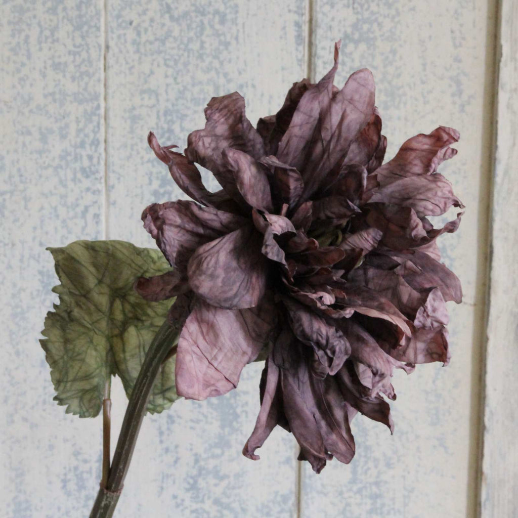 Silk Flower - Dried Dahlia - Antique Mauve