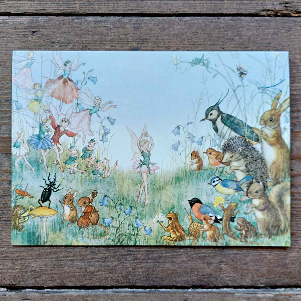 Flower Fairies Fairy Greeting Card - The Flower Ballet by Molly Brett