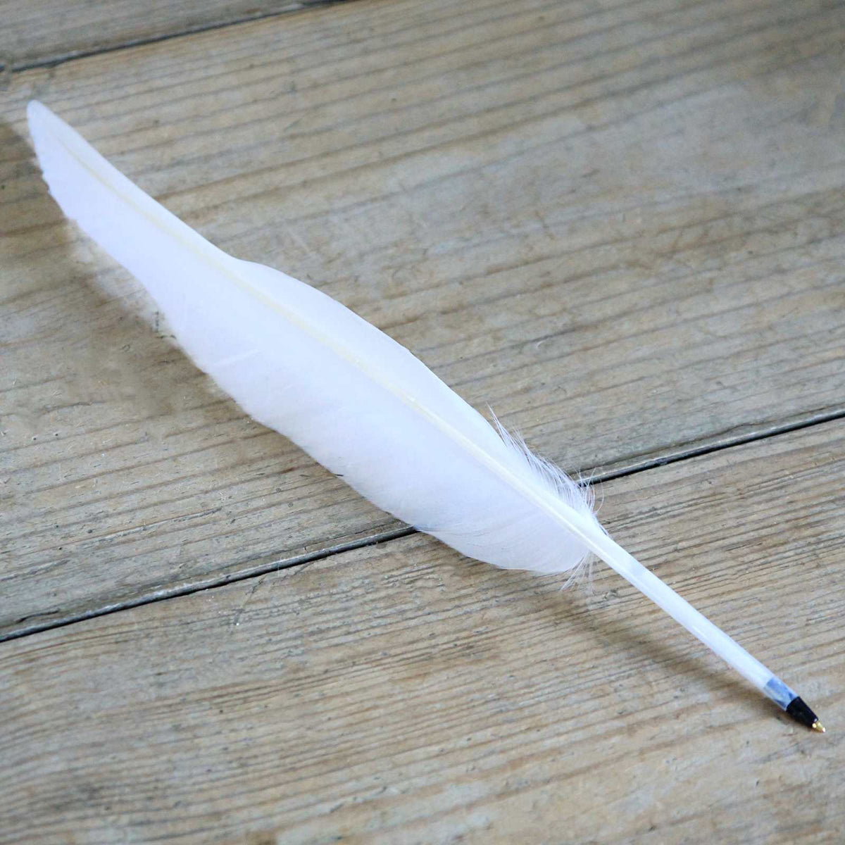 Feather Quill Ballpoint Pen