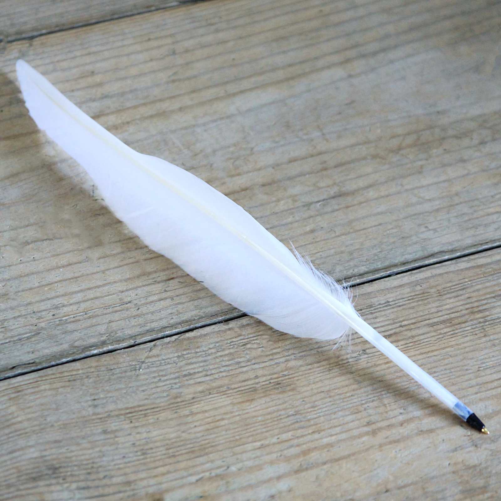 Feather Quill Ballpoint Pen