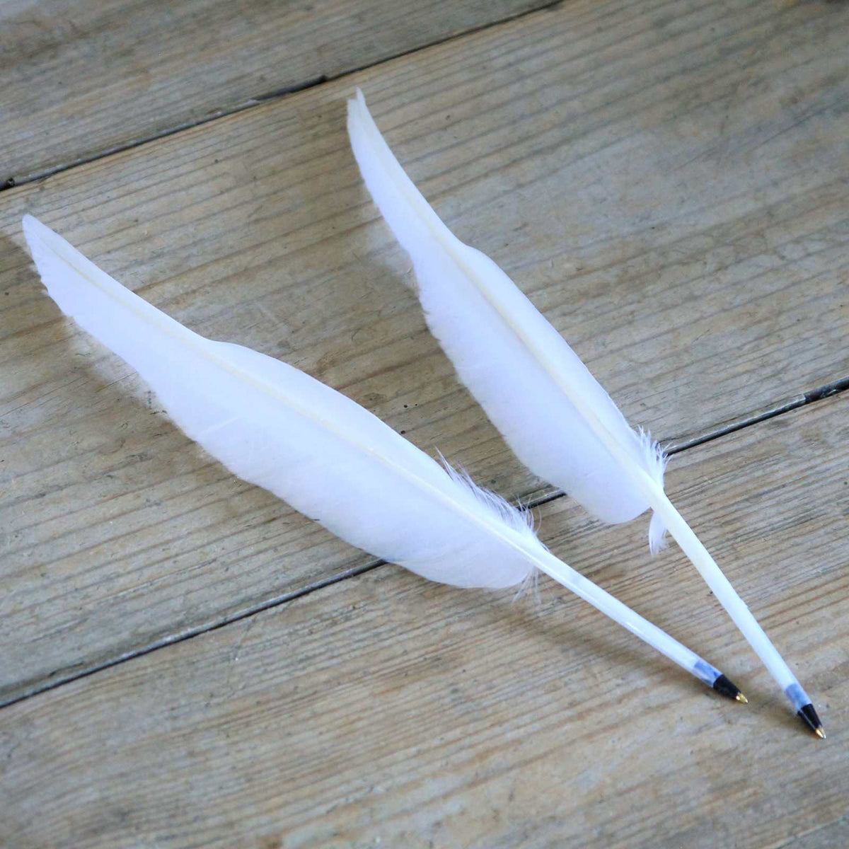 Feather Quill Ballpoint Pens