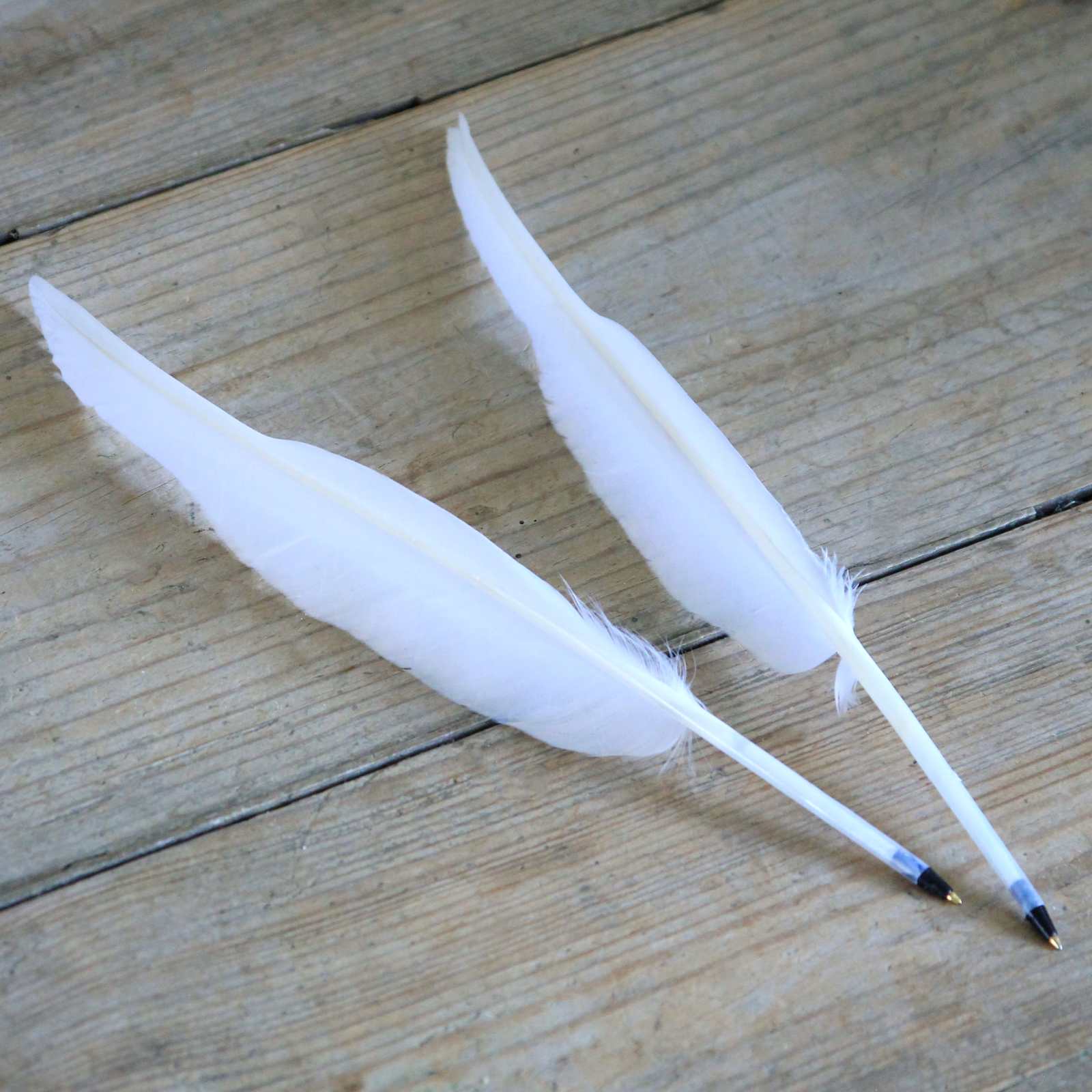 Feather Quill Ballpoint Pens