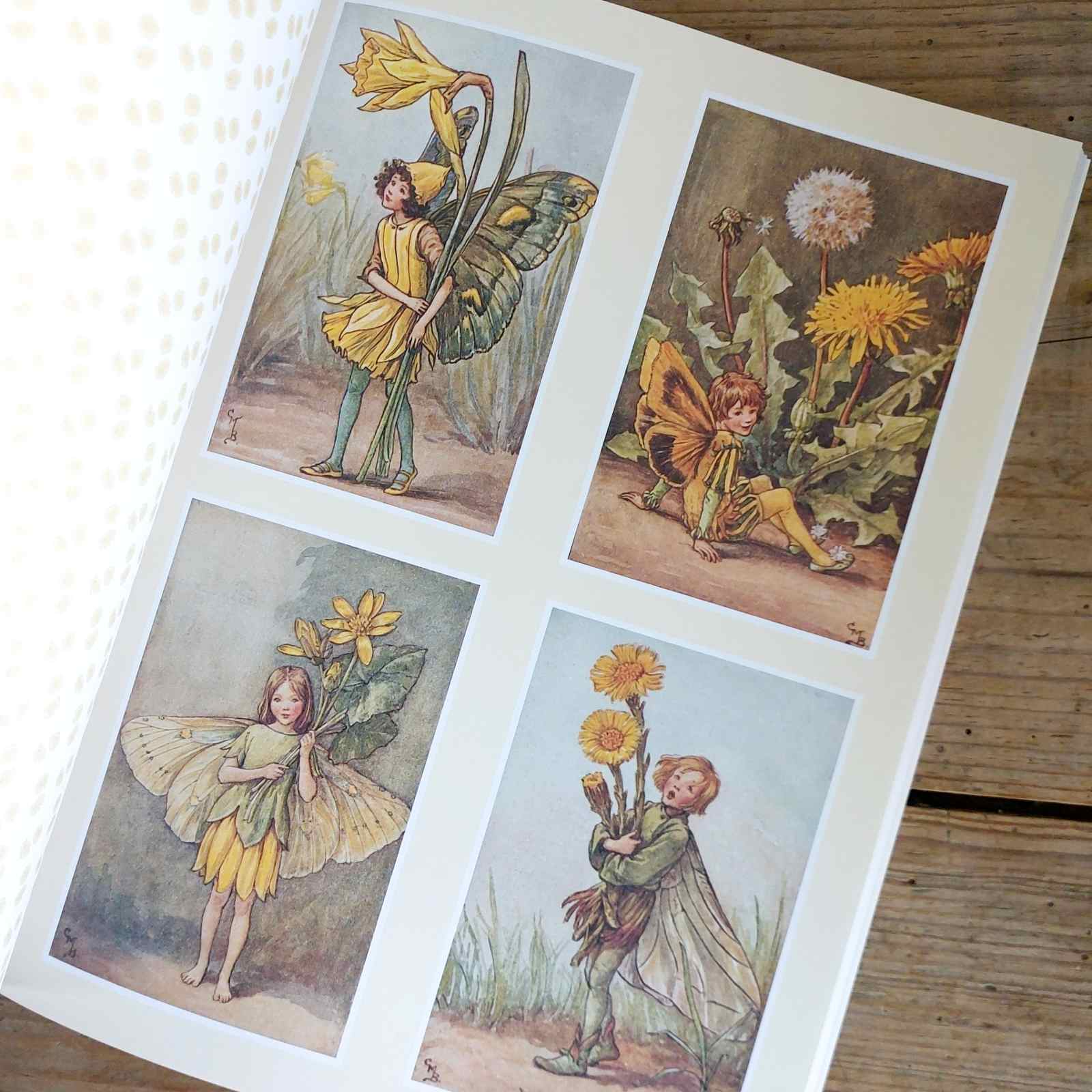 Flower Fairies to Cut Out and Collage Book