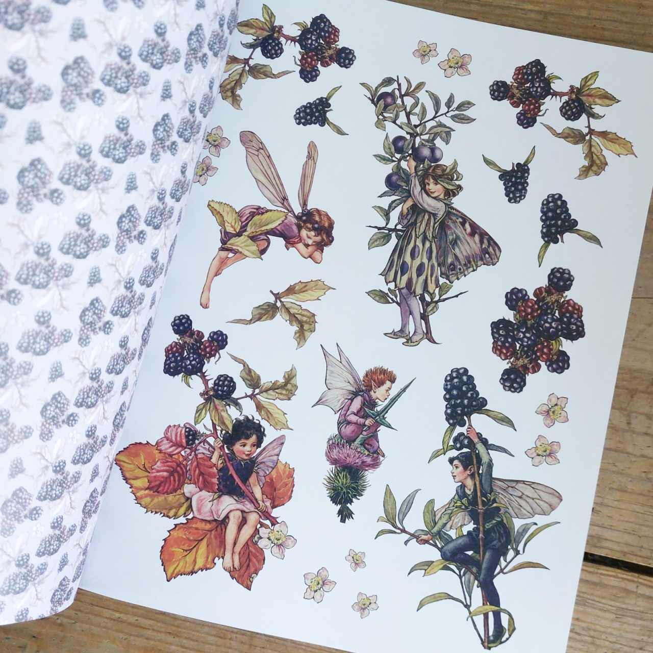 Flower Fairies to Cut Out and Collage Book