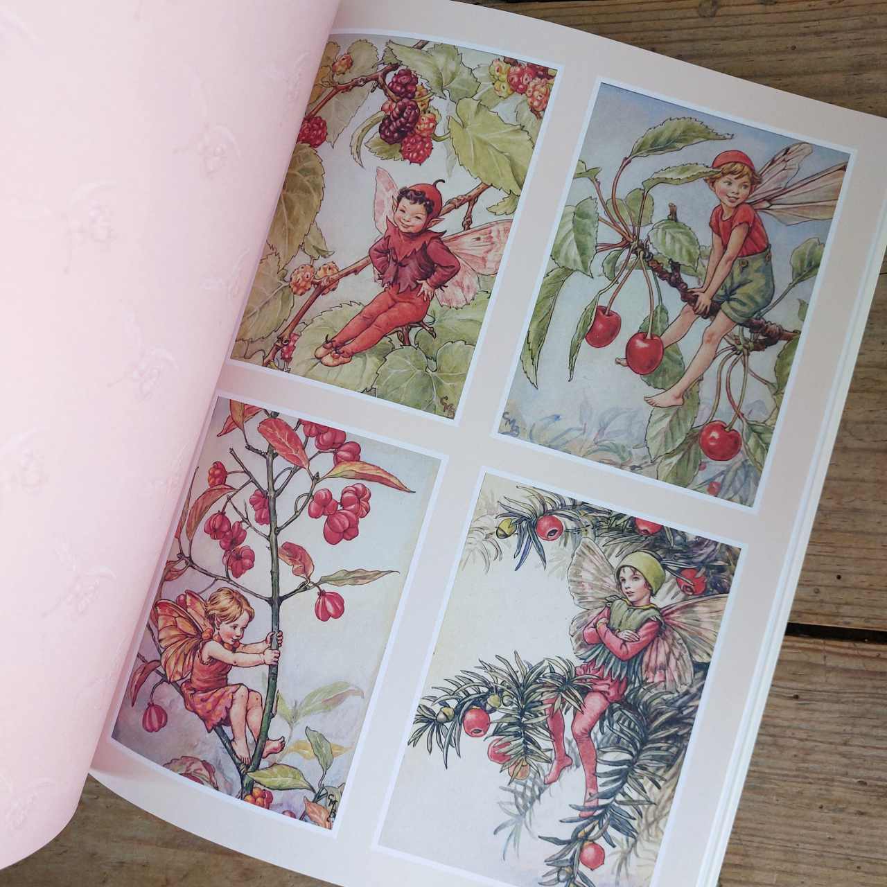 Flower Fairies to Cut Out and Collage Book
