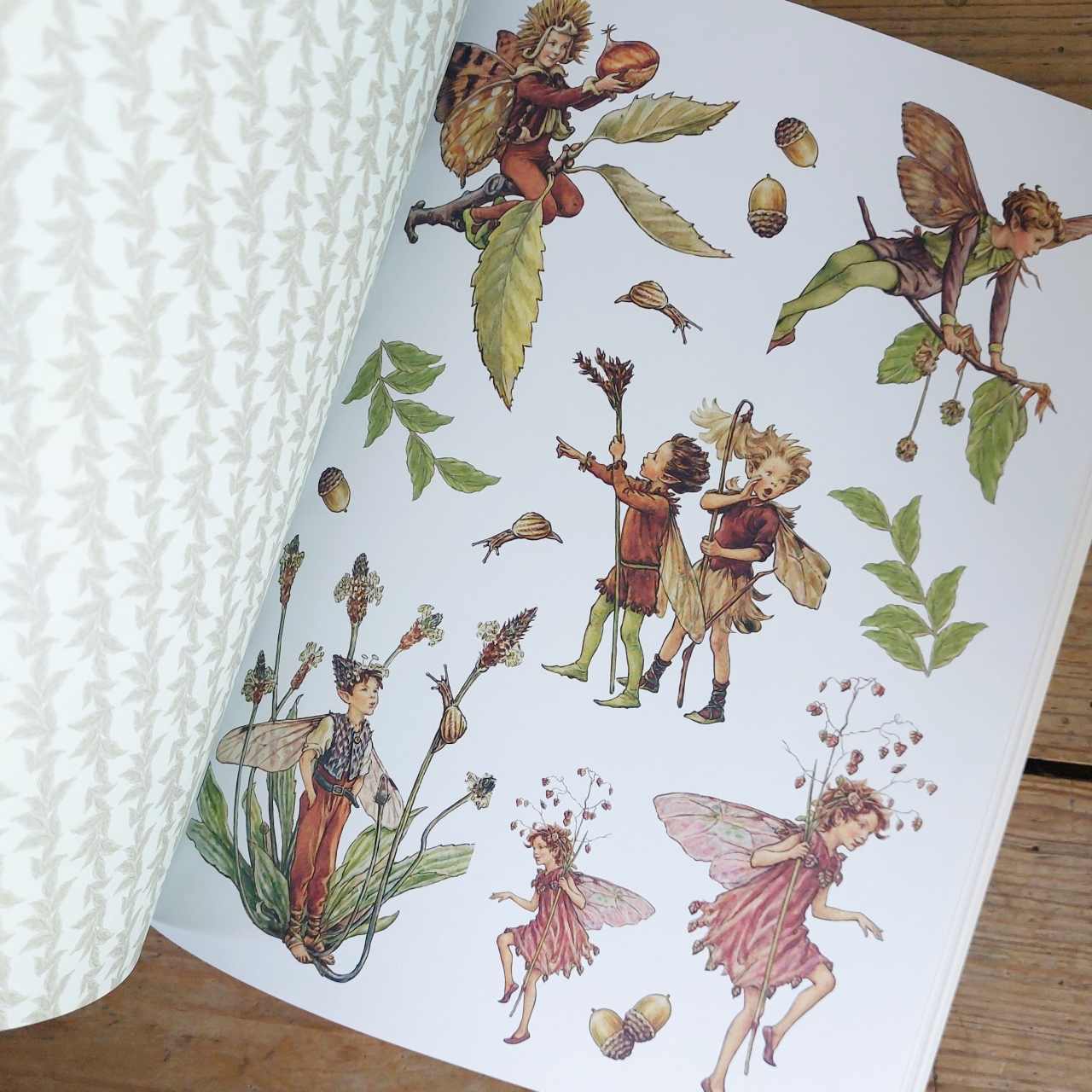 Flower Fairies to Cut Out and Collage