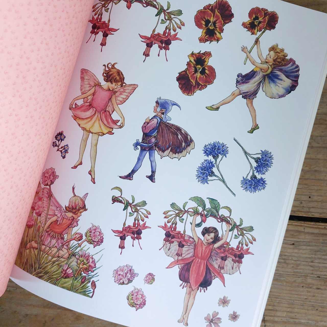 Flower Fairies to Cut Out and Collage Book