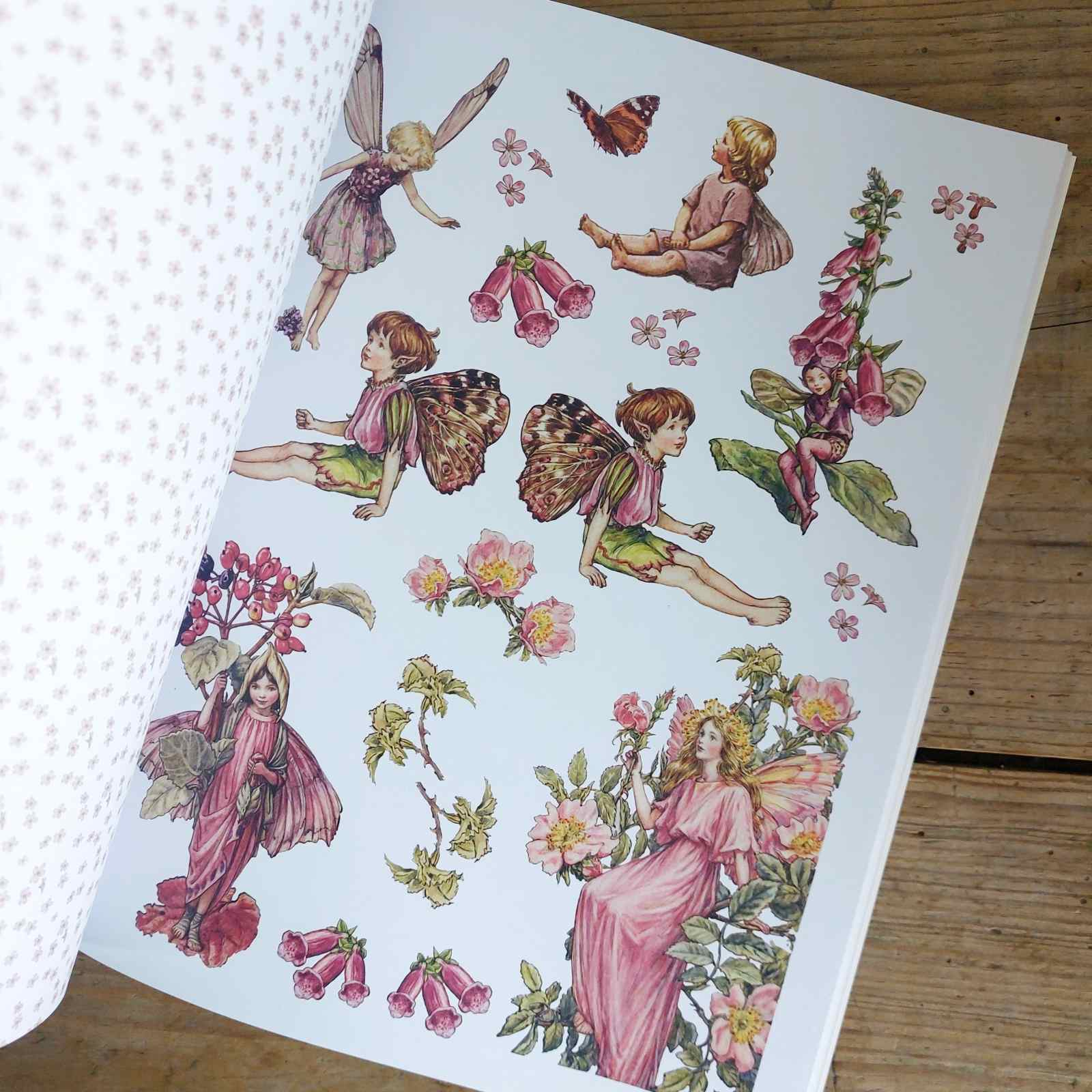 Flower Fairies to Cut Out and Collage Book