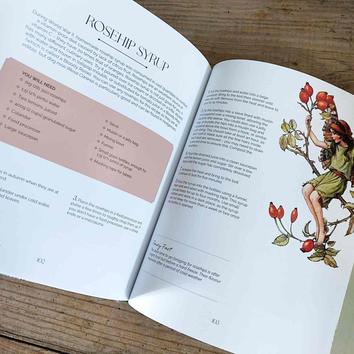 Flower Fairies Herbal: Recipes and Remedies Book