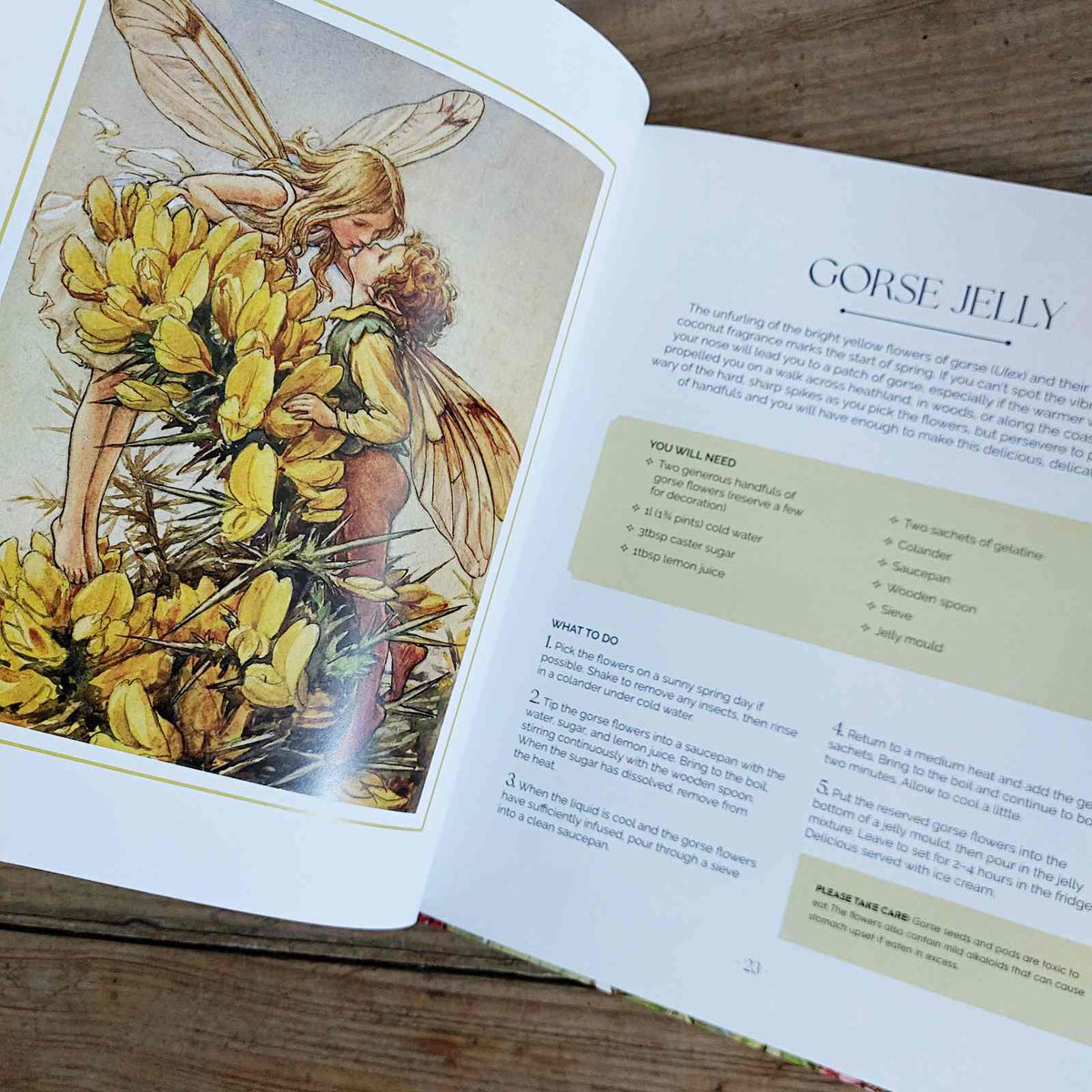 Flower Fairies Herbal: Recipes and Remedies Book
