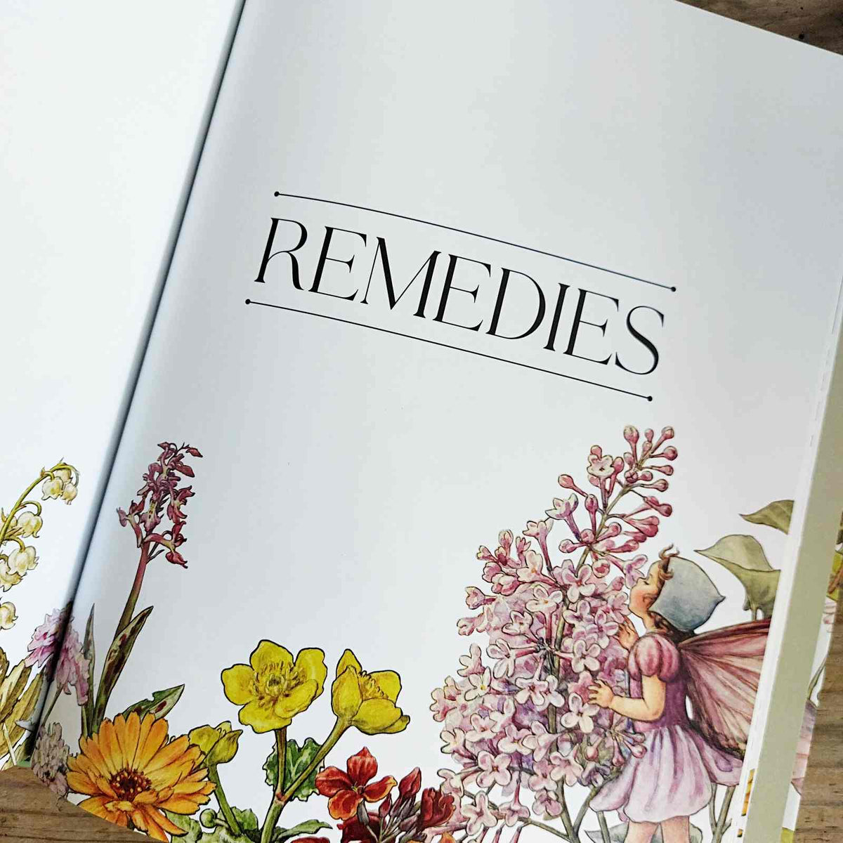 Flower Fairies Herbal: Recipes and Remedies Book