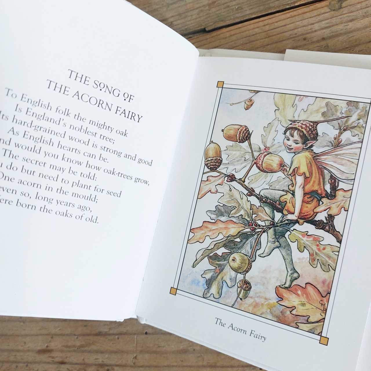 The Acorn Fairy - Flower Fairies of The Autumn by Cecily Mary Barker