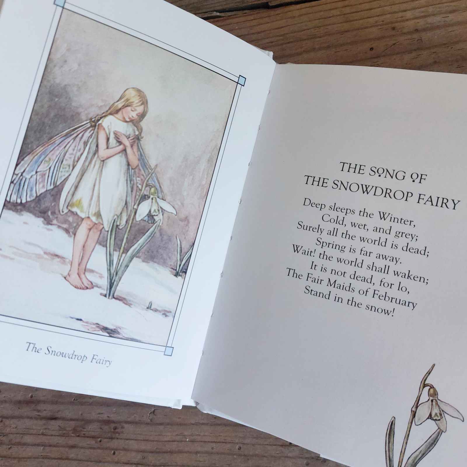 Flower Fairies of The Winter by Cecily Mary Barker