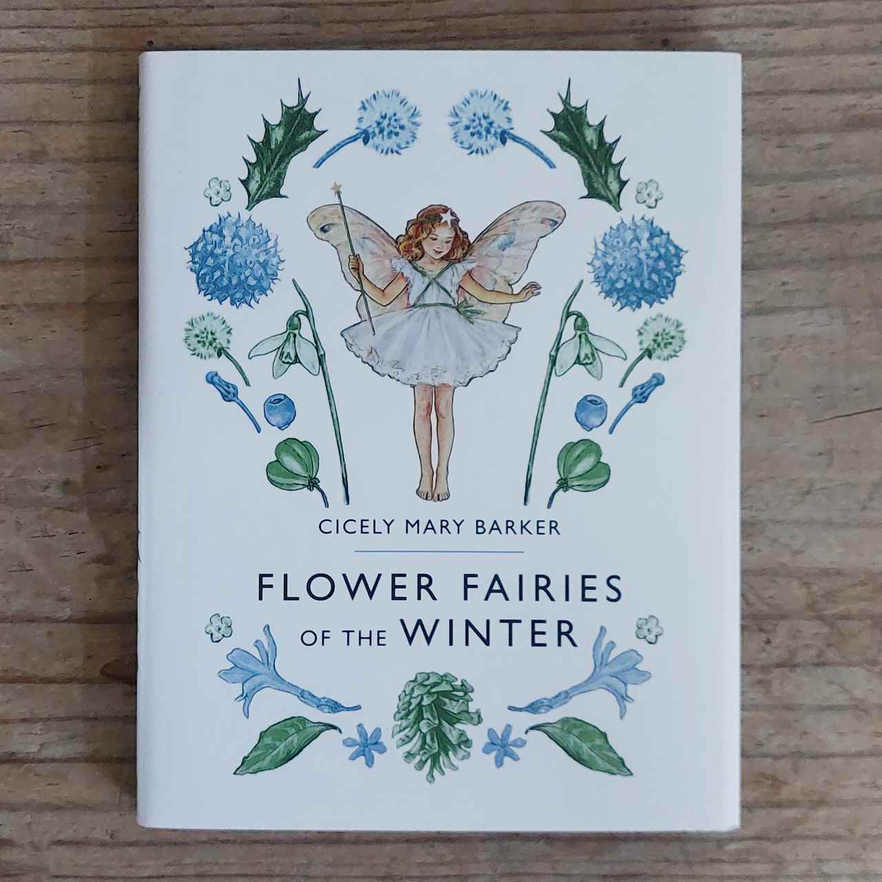 Flower Fairies of The Winter by Cecily Mary Barker