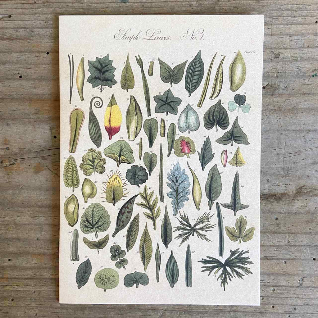 Leaves Vintage Greeting Card