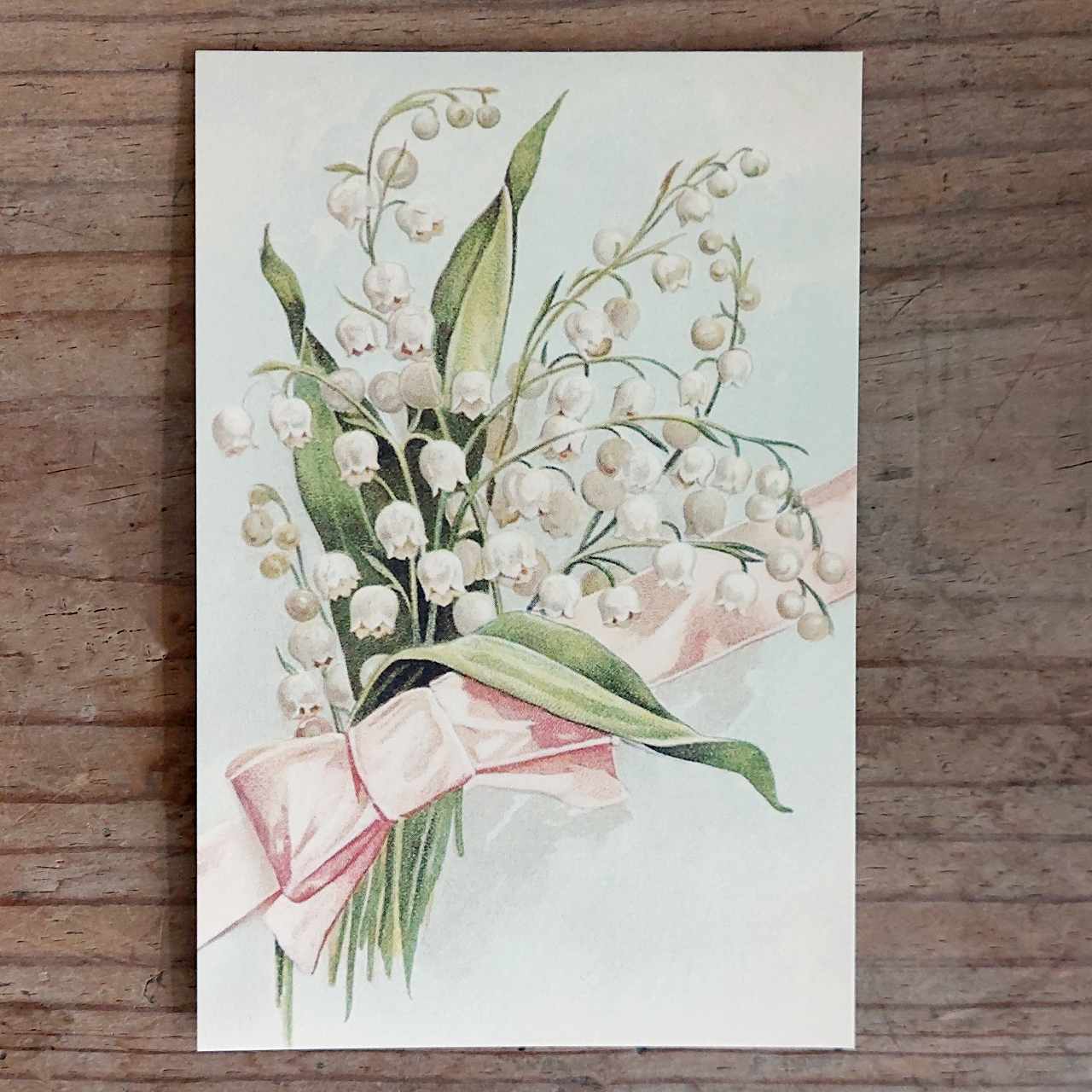Vintage Flower Postcard