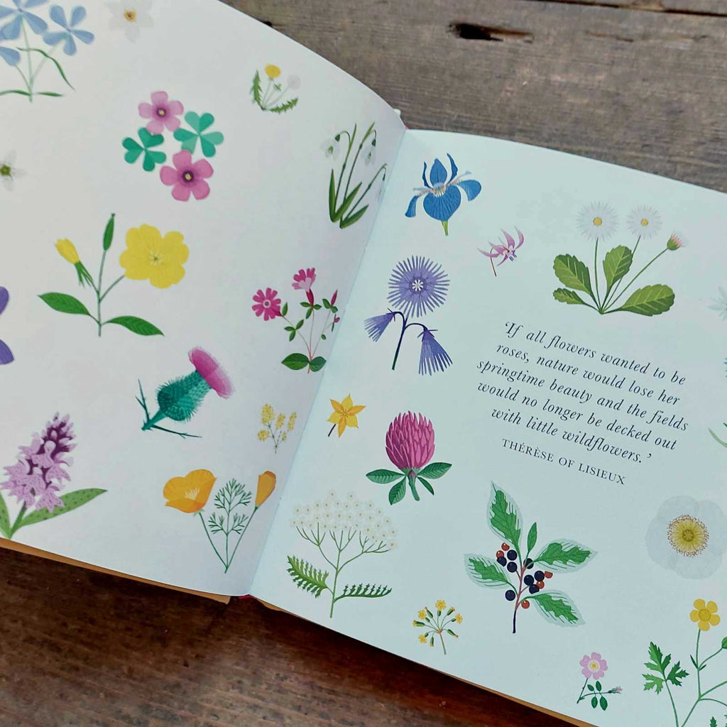 The Little Guide To Wild Flowers