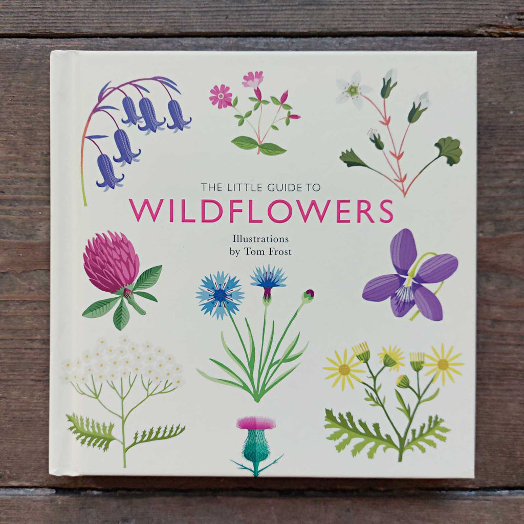 Little Guide To Wild Flowers BookThe Little Guide To Wild Flowers Book