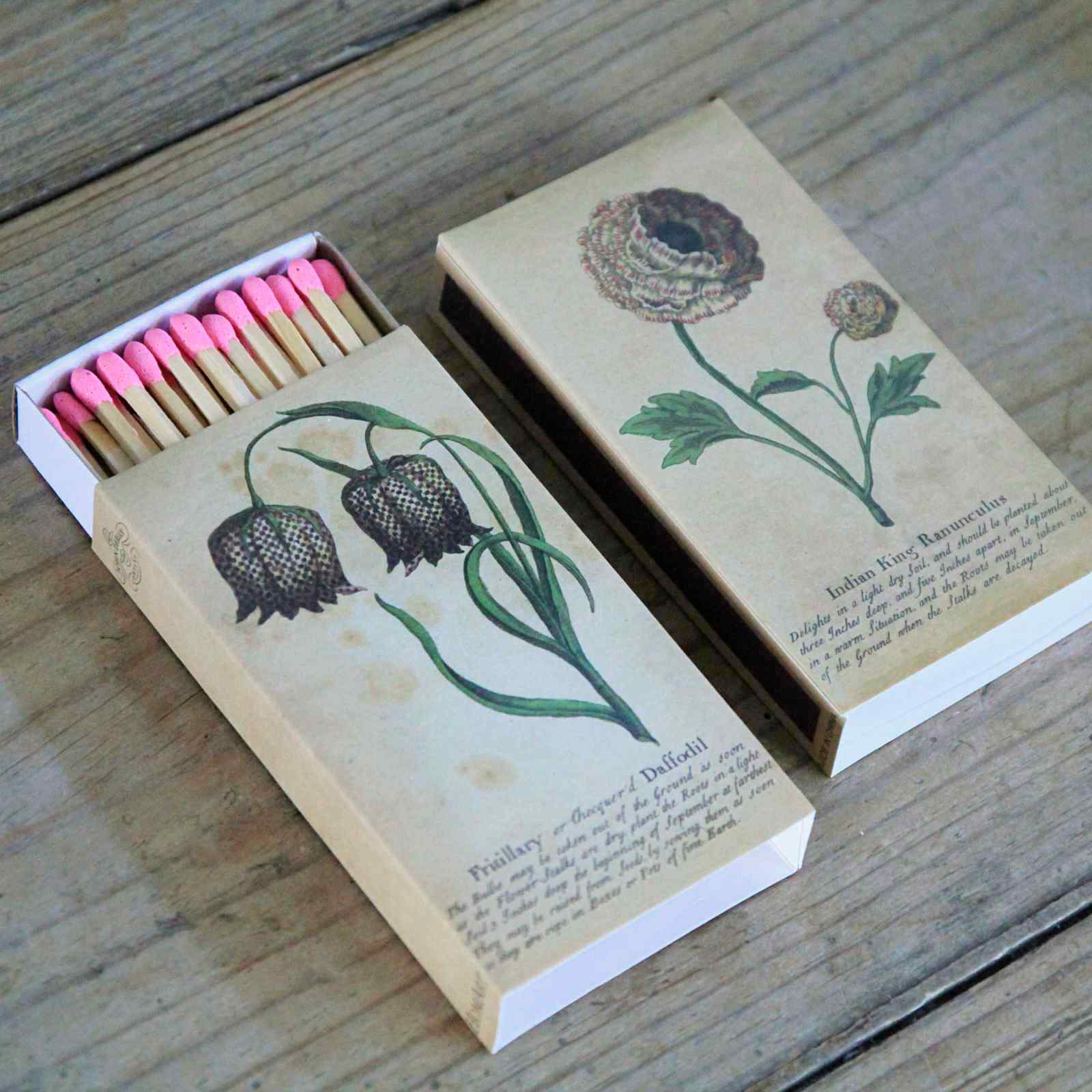 Box of matches by John Derian - Ranunculus