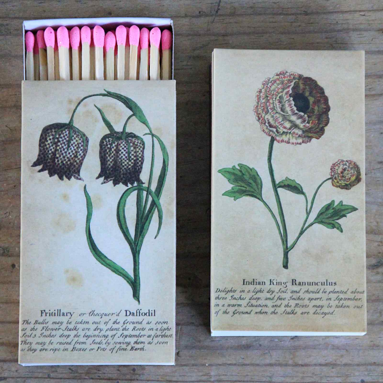 Box of matches by John Derian - Ranunculus
