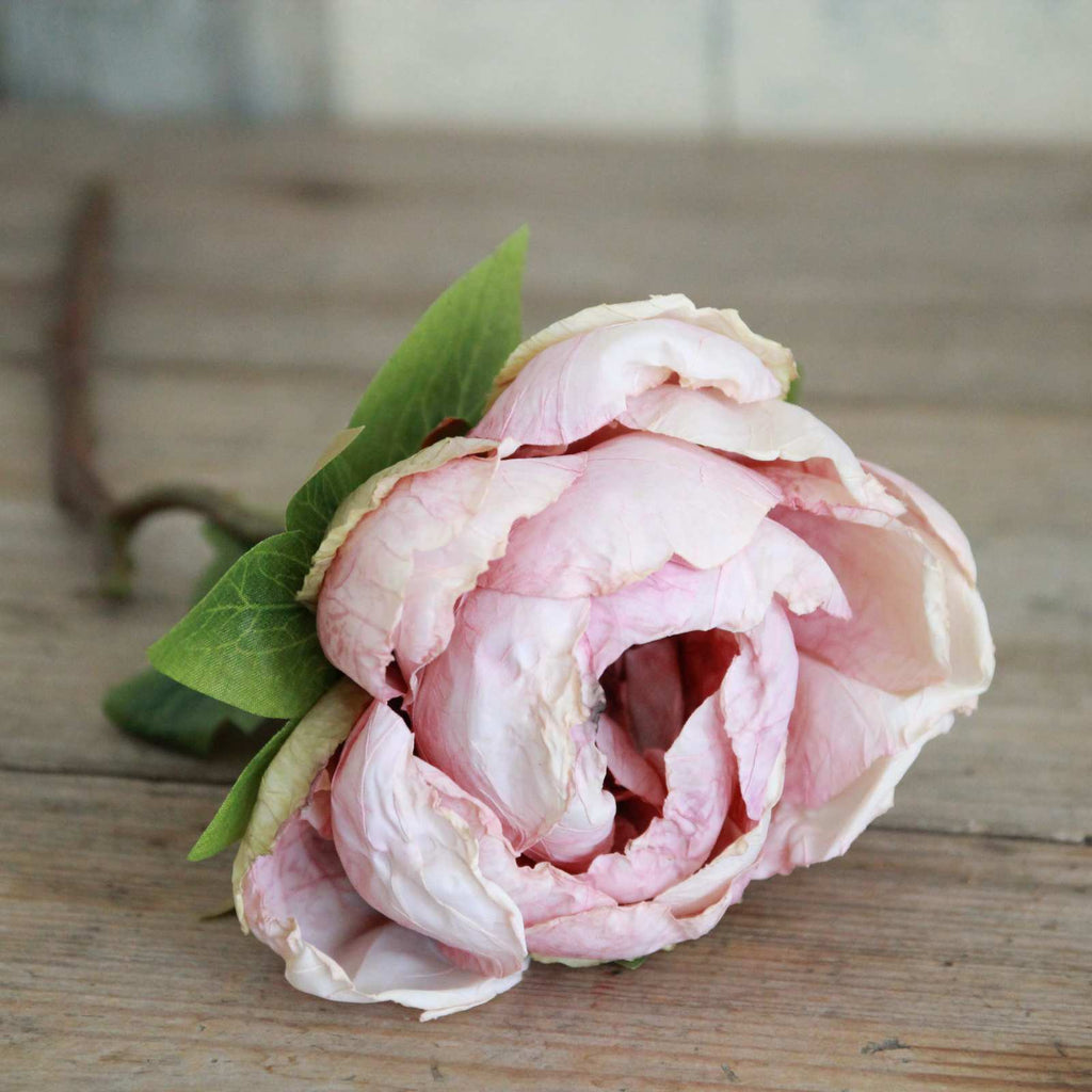 Silk Flower Dried Peony Dusty Pink Closet & Botts