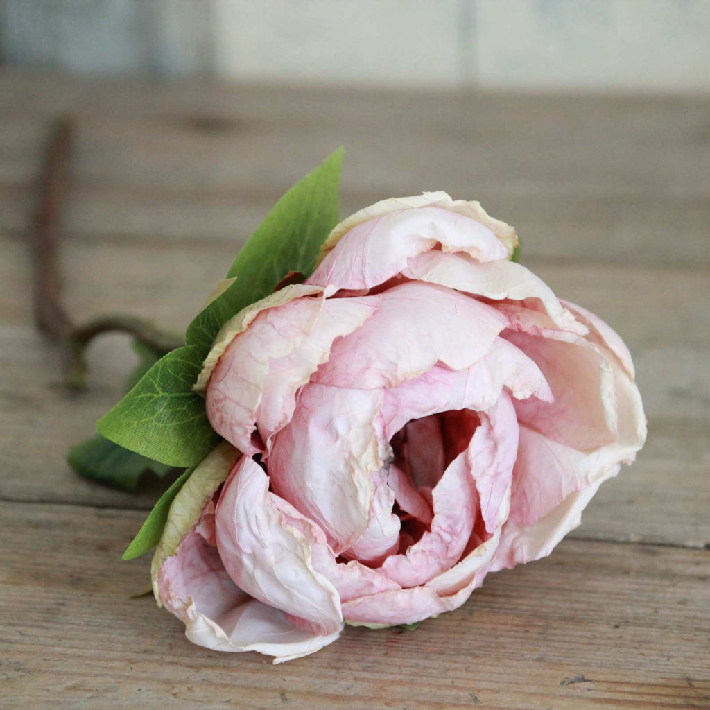 Silk Flower - Dried Peony - Dusty Pink