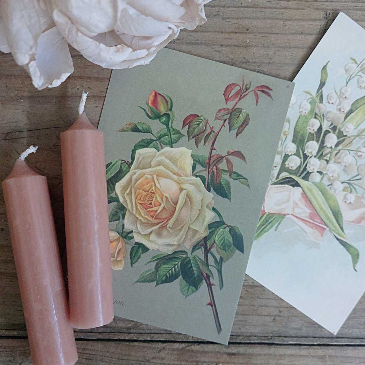 Vintage Flower Postcards