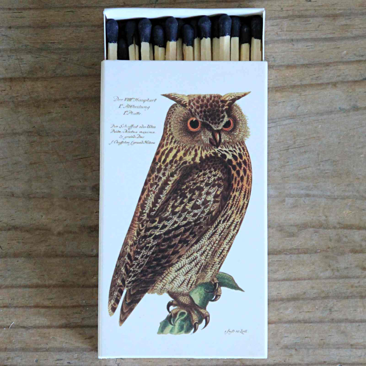 Box of Matches - Owl