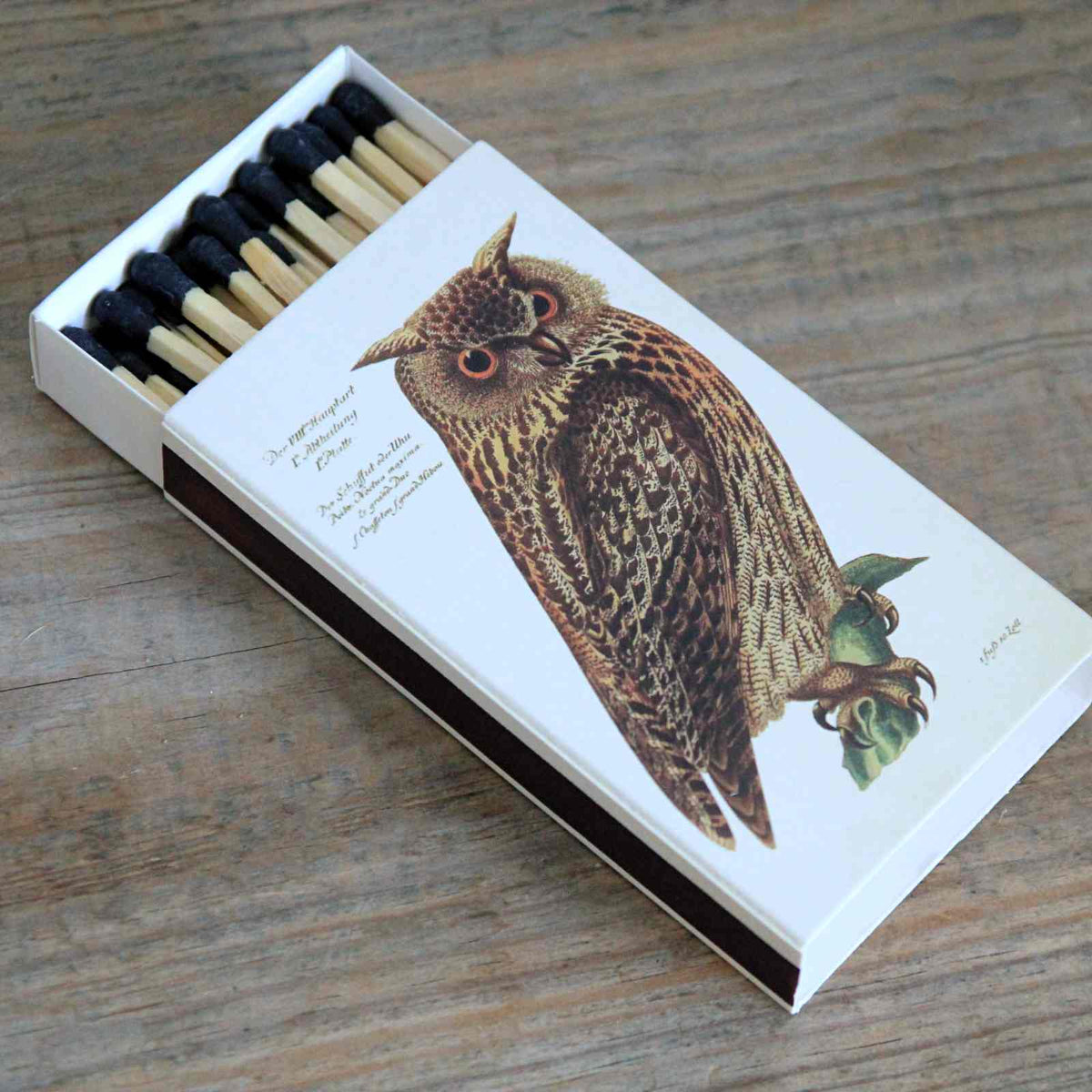 Box of Matches - Owl