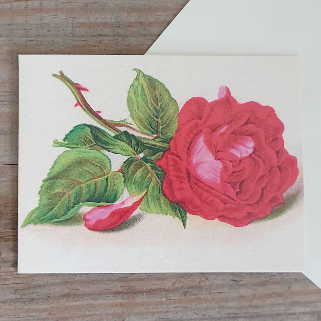 Red Rose - Petite Greeting Card