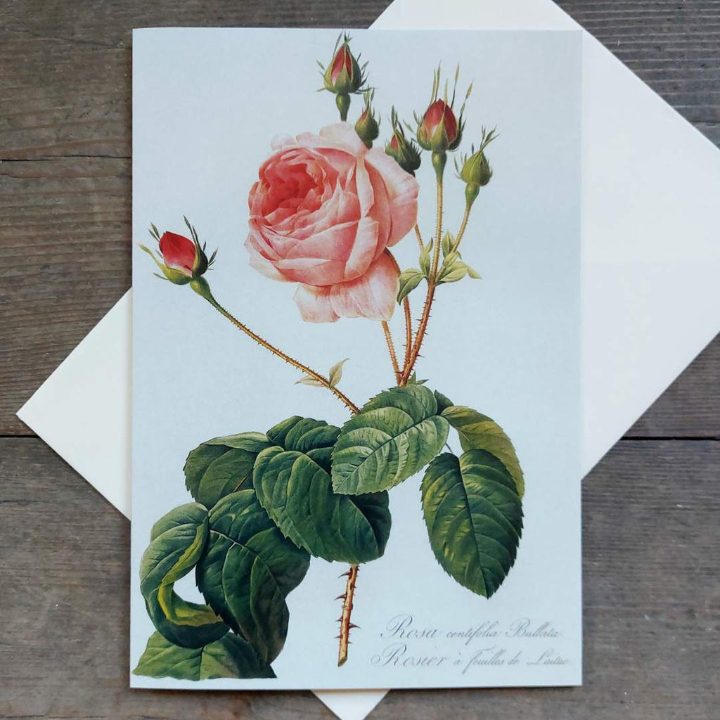 Rosa - Vintage Greeting Card