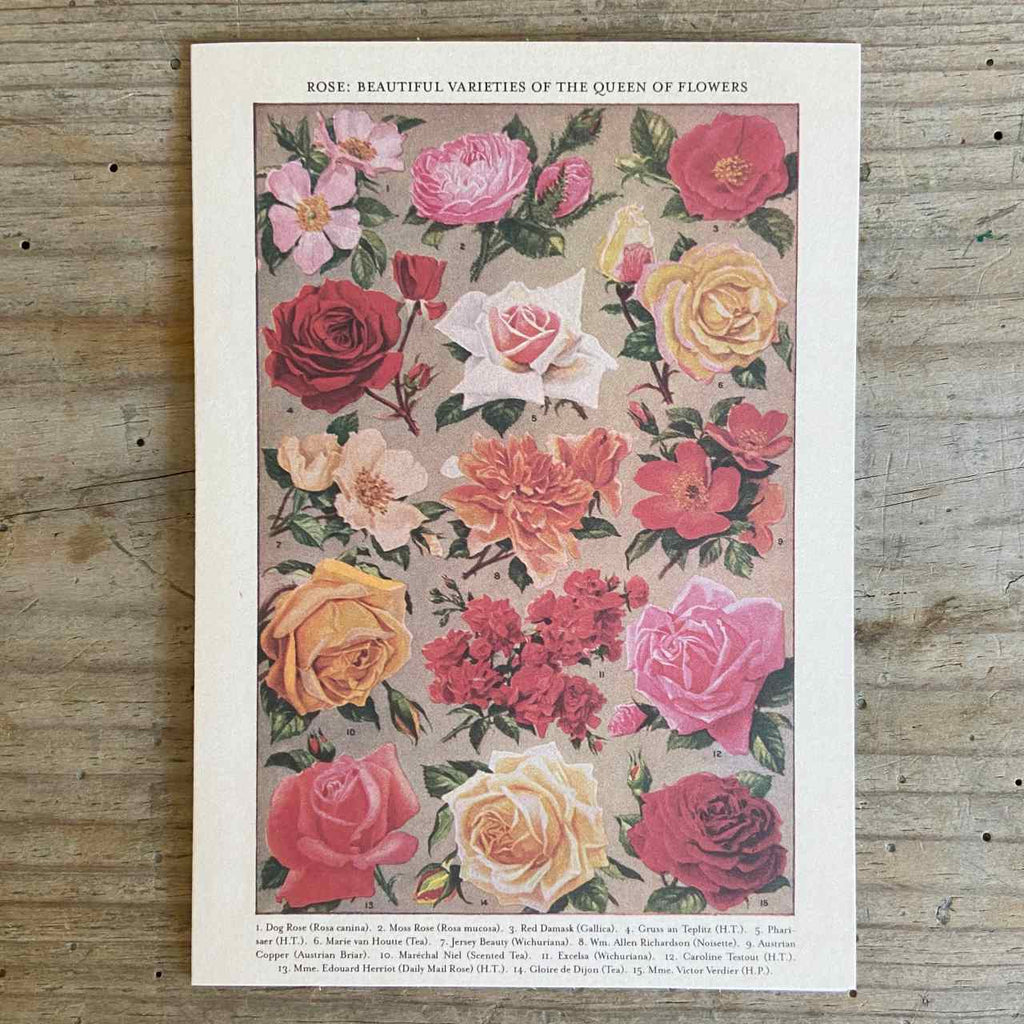 Vintage Greeting Card - Roses