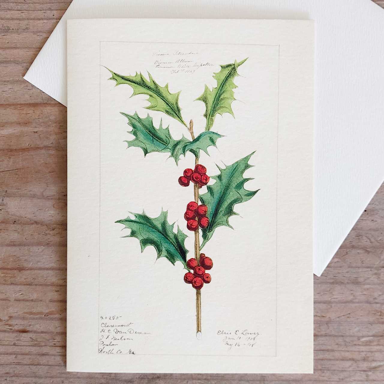 Single Christmas Card - Holly