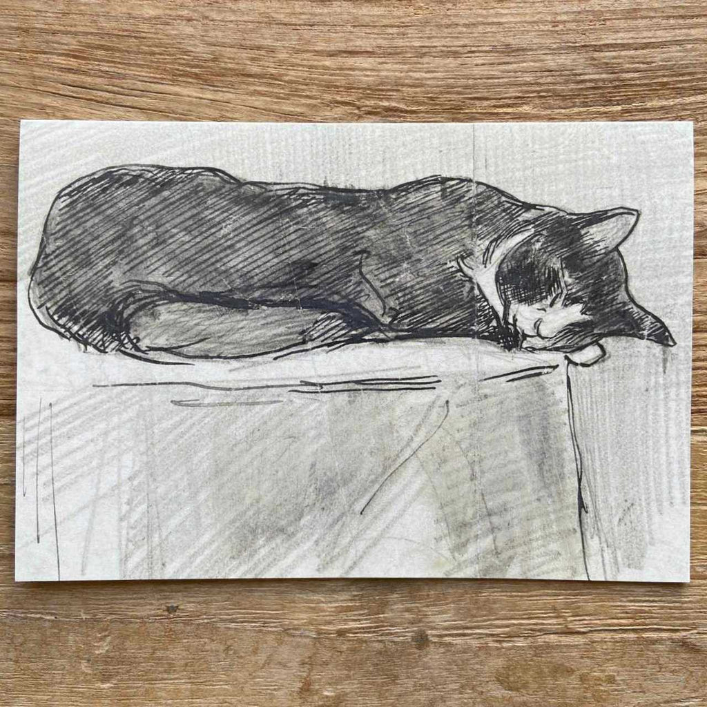 Sleeping Cat Vintage Card
