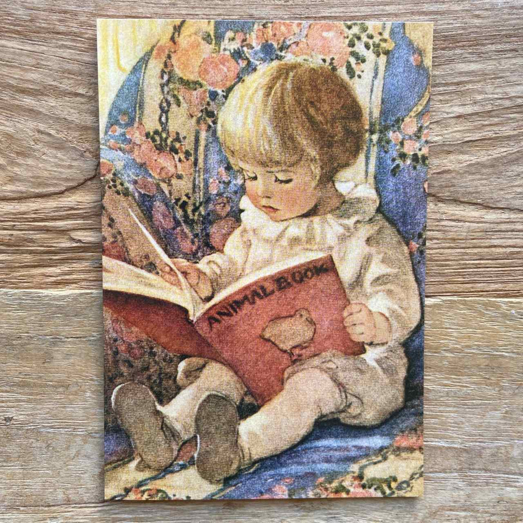 The Animal Book vintage Card