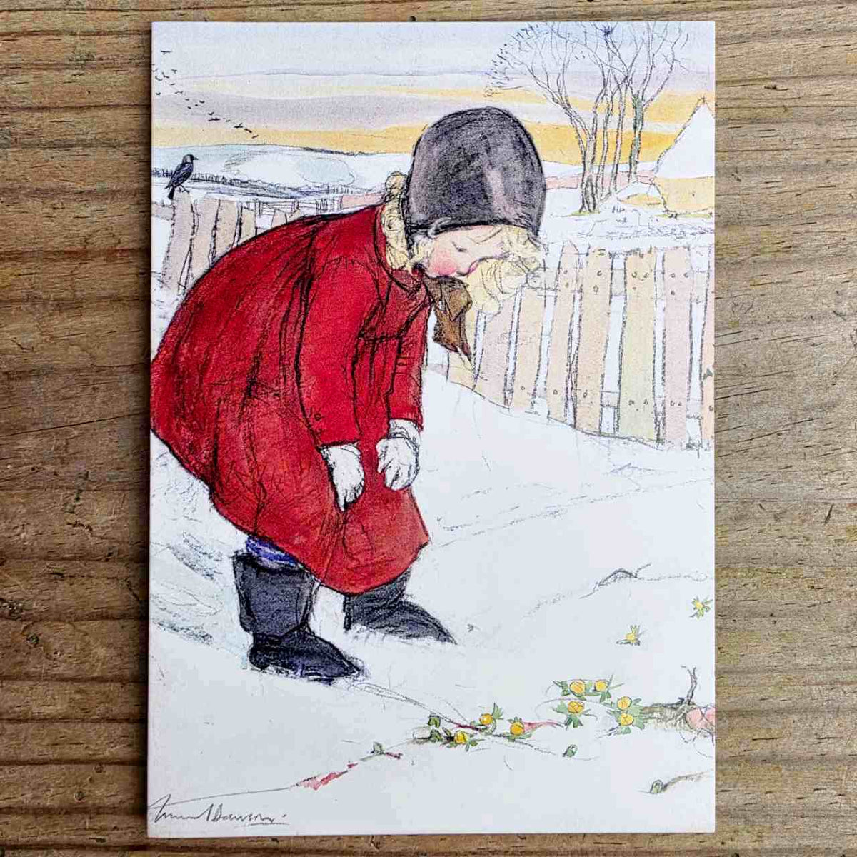 Traditional Christmas Card Pack - The First Aconite, by&nbsp;Murial Dawson
