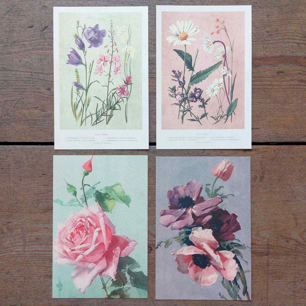 Vintage Flower Postcards
