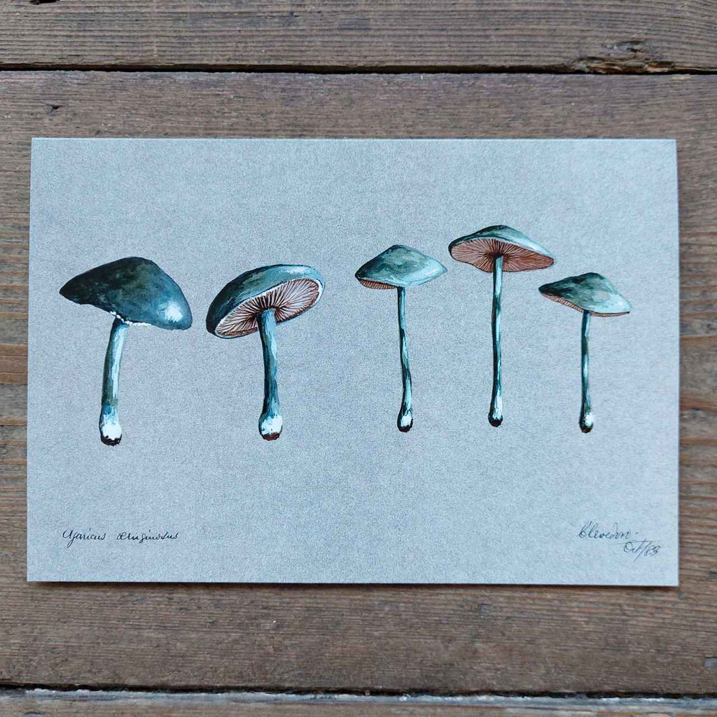 Vintage Mushrooms Illustration - Greeting Card