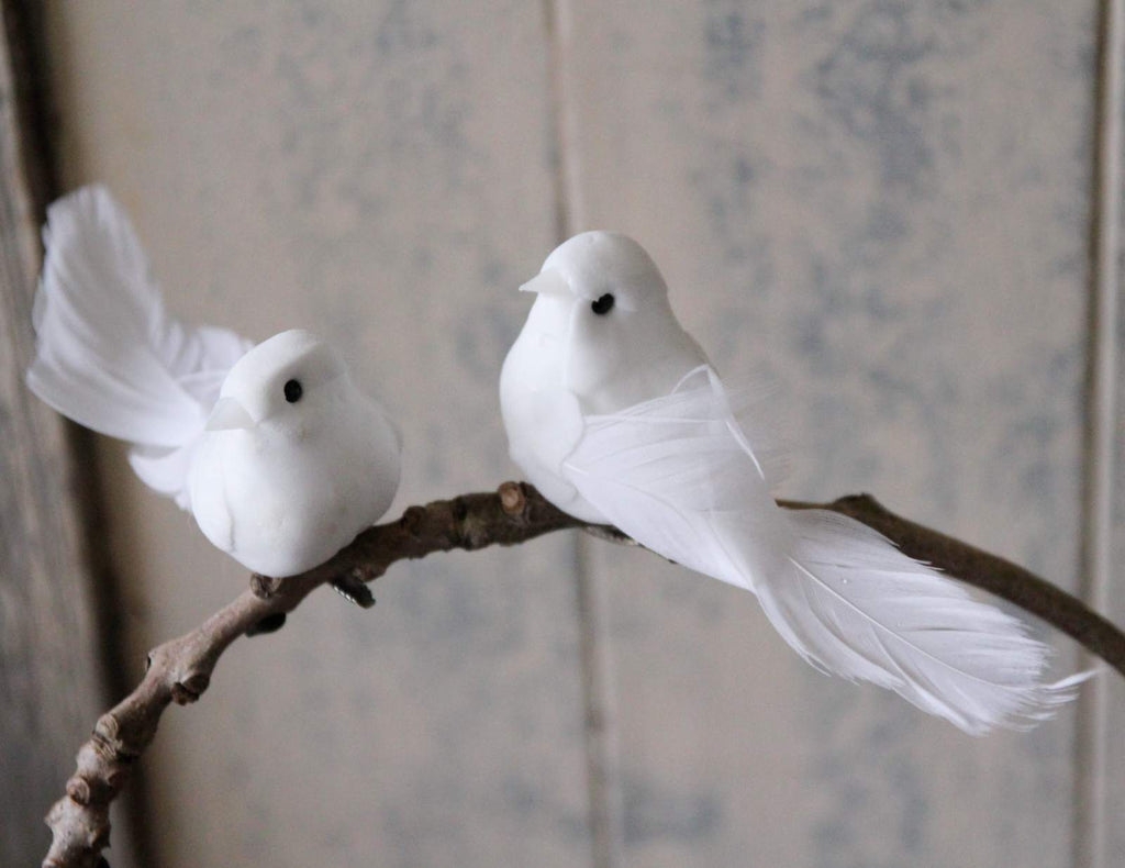 White Dove Decoration