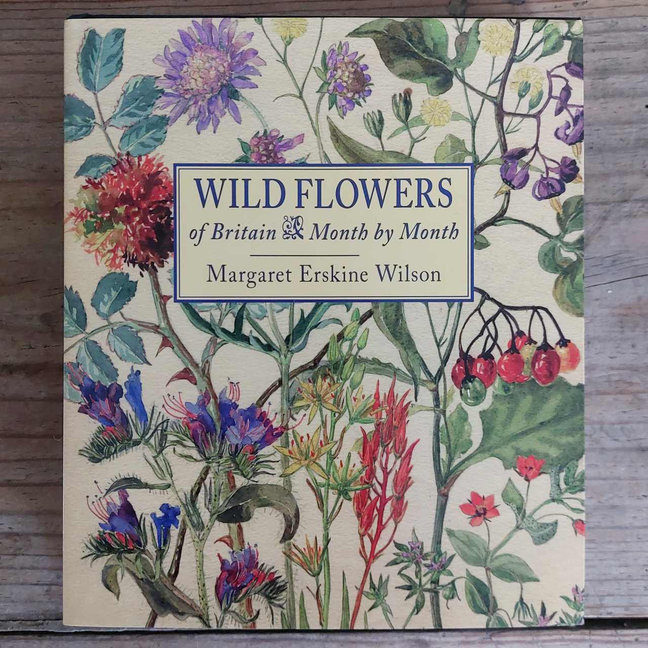 Wild Flowers of Britain, Month by Month