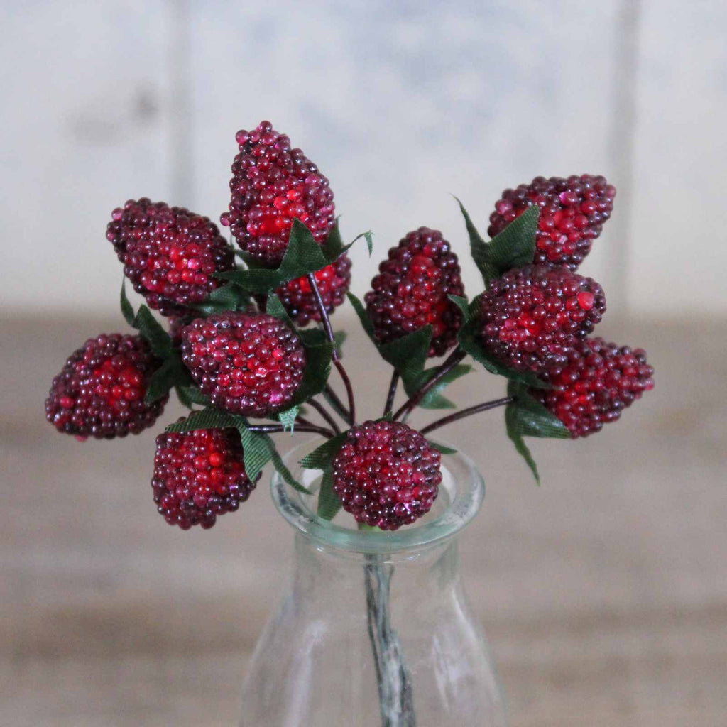 Blackberry Pick, lovely for an Autumn posy, wreath or garland