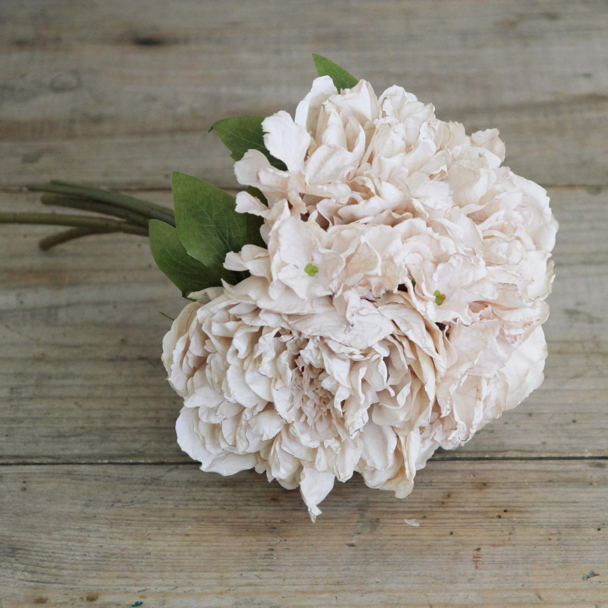 Peony & Eucalyptus Bouquet – Closet & Botts