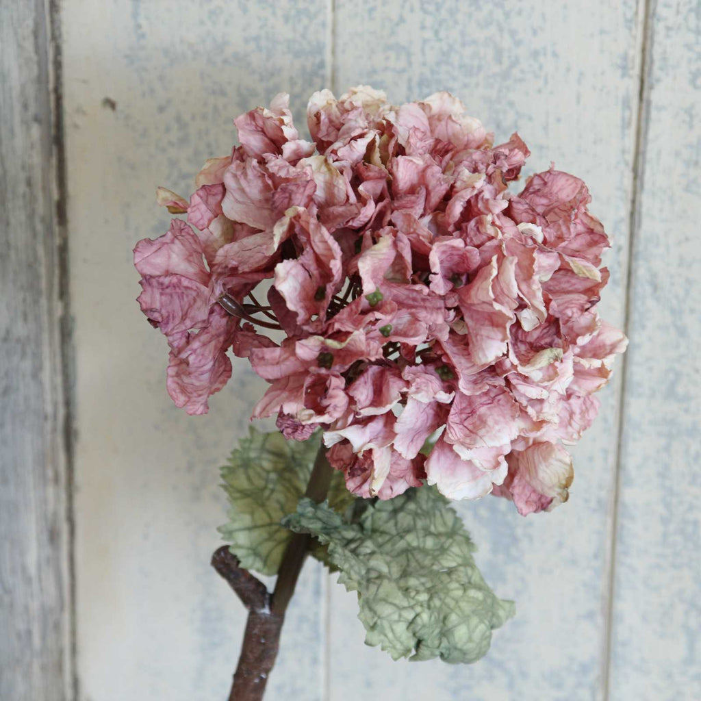 Silk Flower - Vintage Dried Hydrangea in a beautiful Dusty Pink