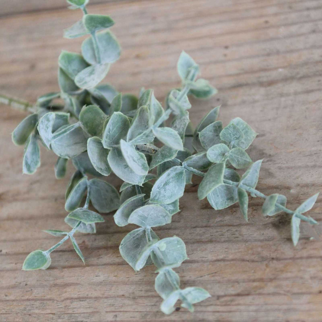 Mini Eucalyptus Sprig