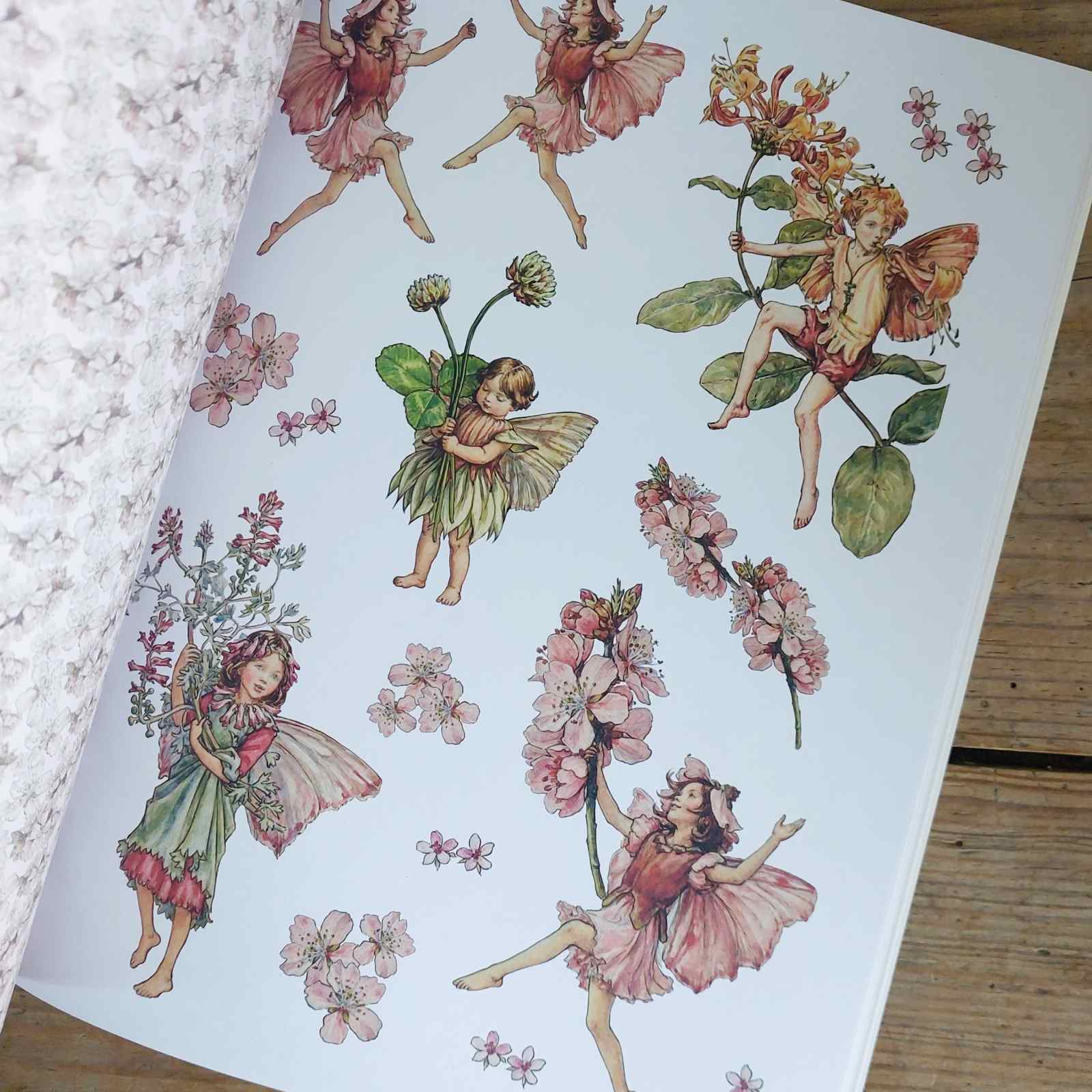 Flower Fairies to Cut Out and Collage Book