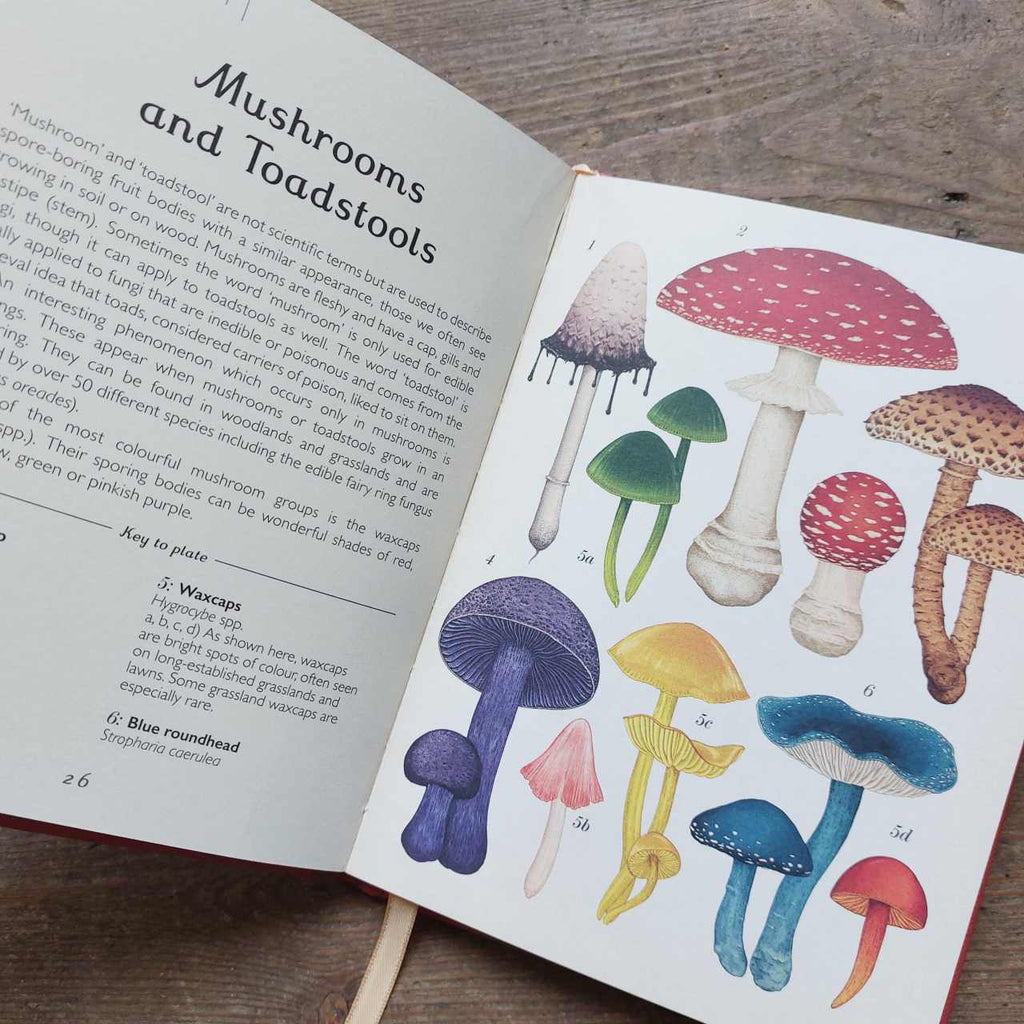 Fungarium mushroom book