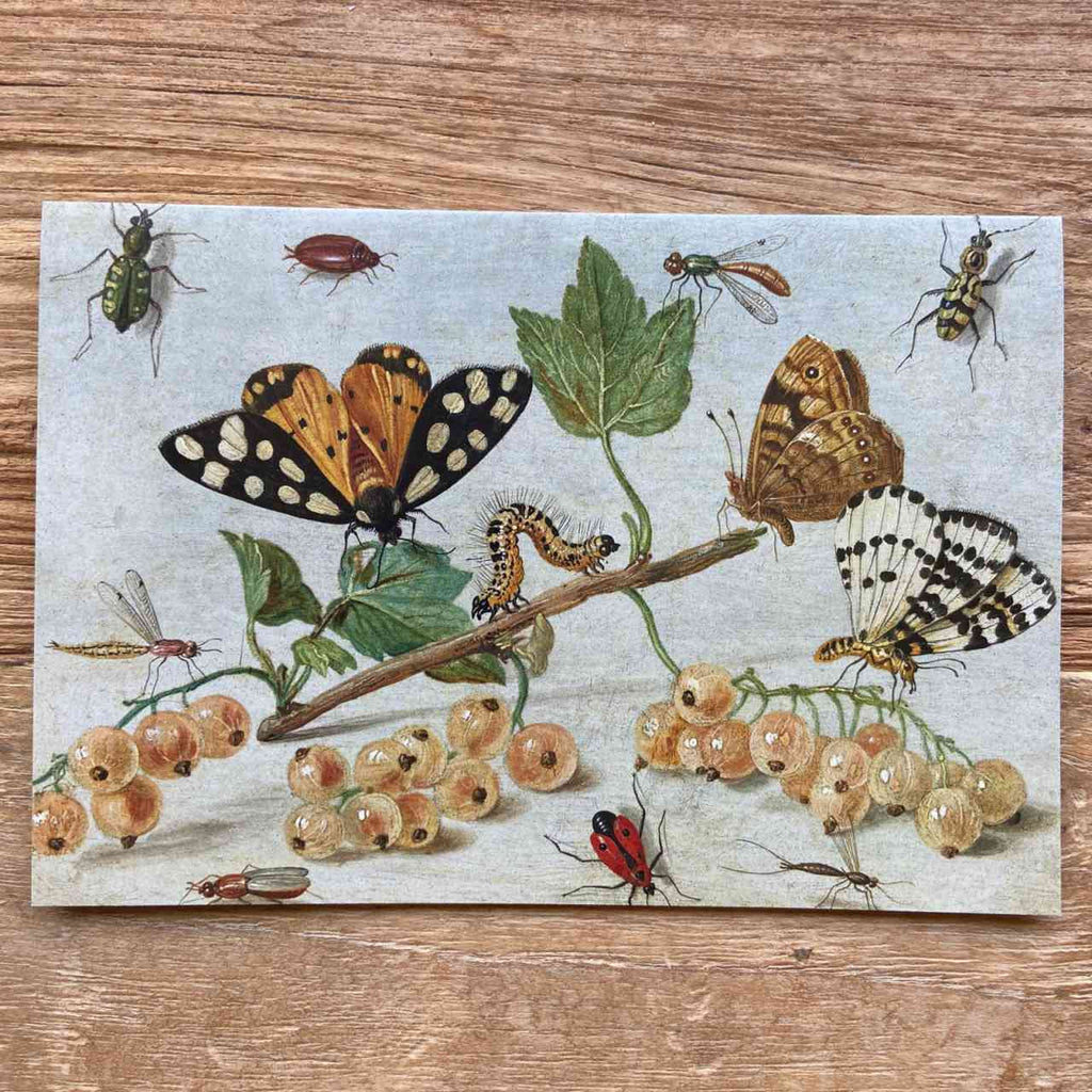 Insects and Fruit - Vintage Greeting Card