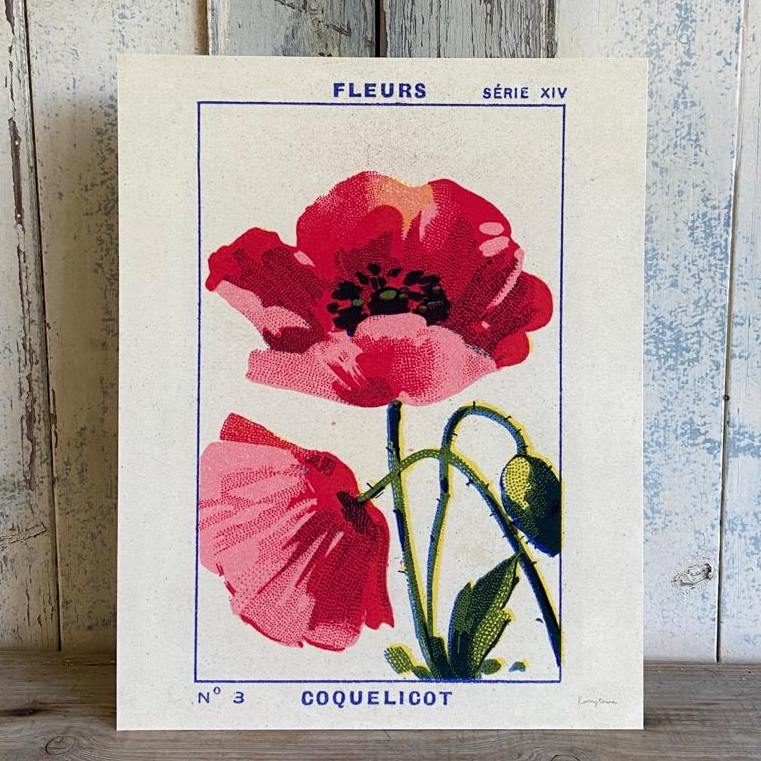 Coquelicot - Poppy Fine Art Print