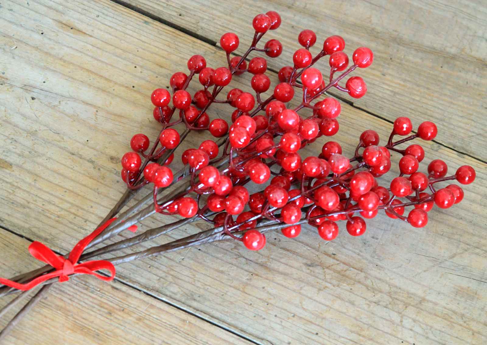 Bunch of red berries
