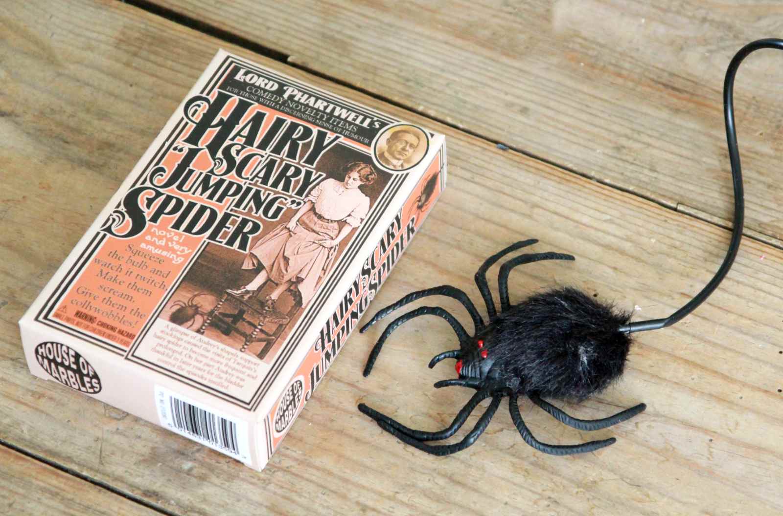 Jumping Spider toy